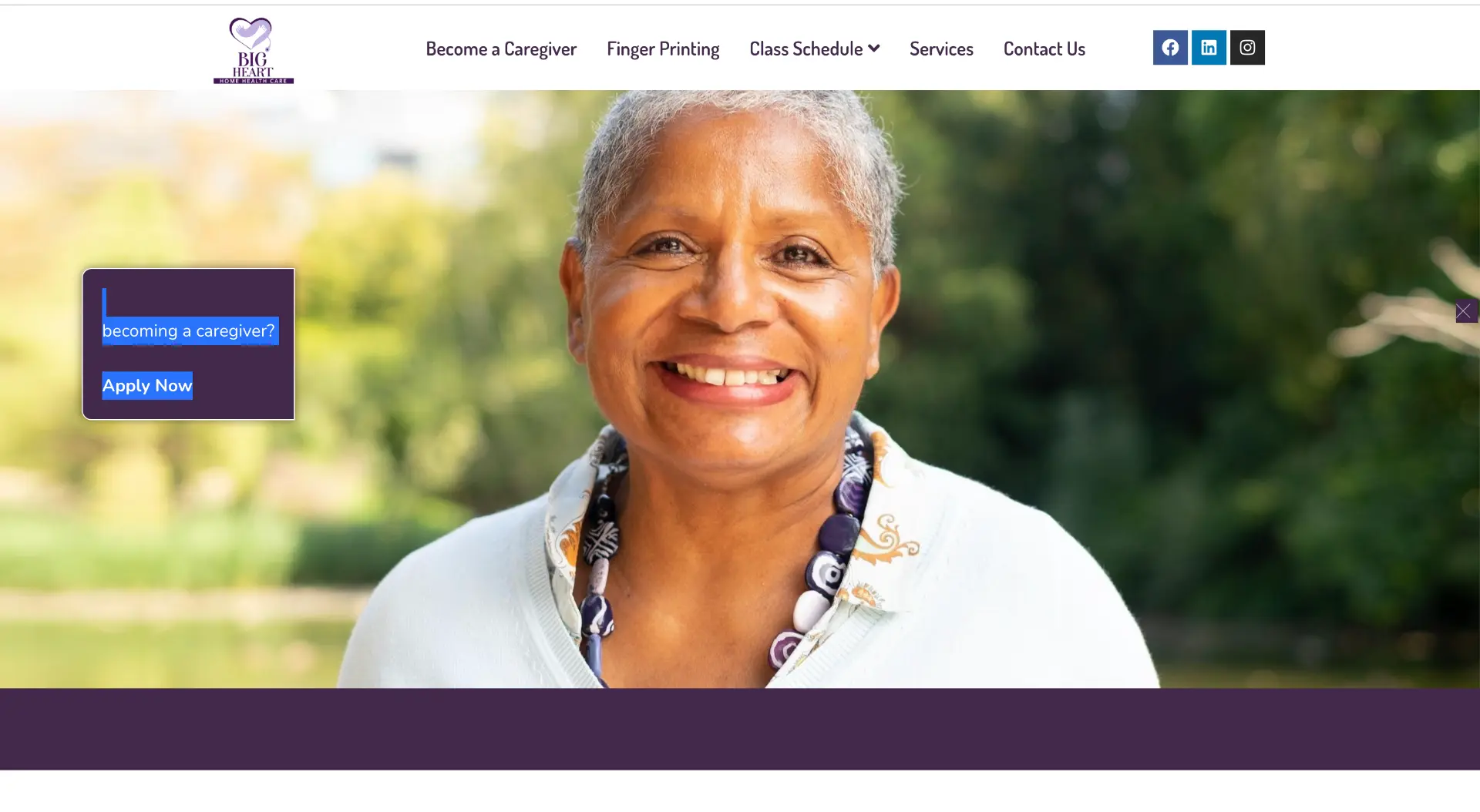 Big Heart Home Health Care — Web Design