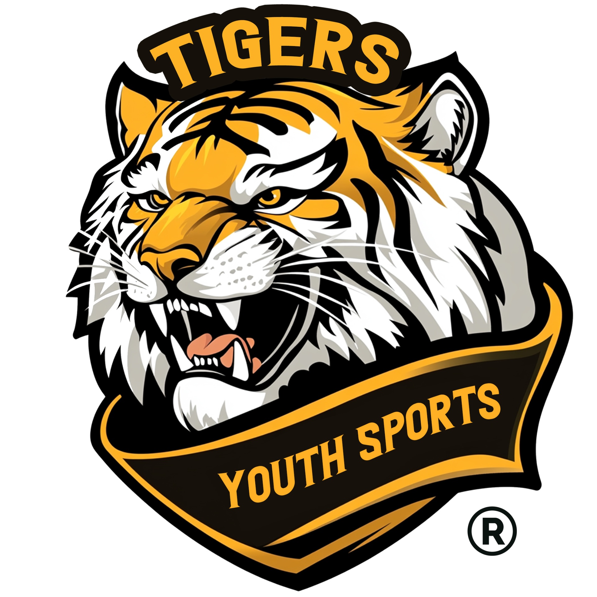 Tigers Youth Sports — Logo Design